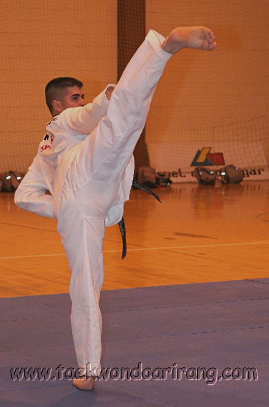 CopaIcod2006-033