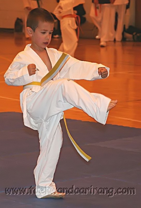 CopaIcod2006-044