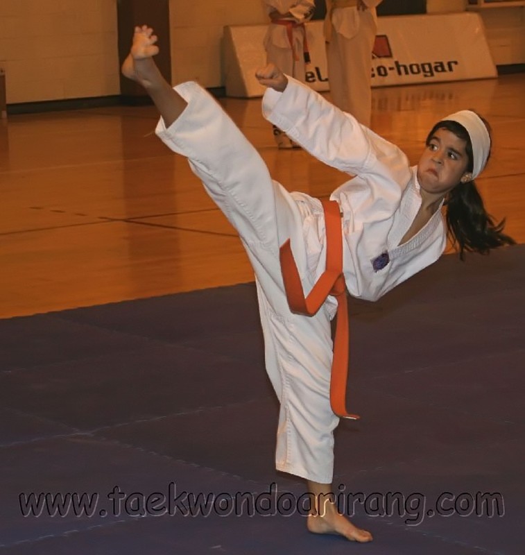 CopaIcod2006-069